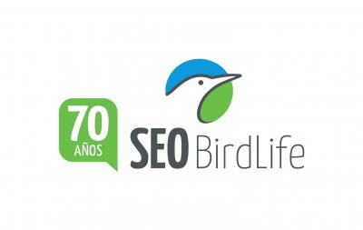 SEO Birlife